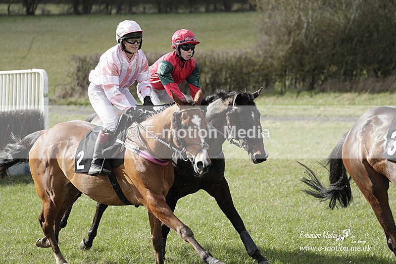 PtP 180323 689 - Shelfield Park Races with Croome & West Warwickshire Hunt  18/03/23