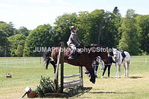 IMG_3602 - Working Hunter