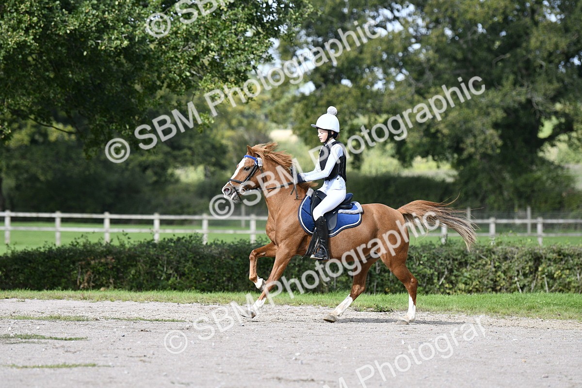 SBM_17606 - E4b - Eventers Challenge 60cm Open