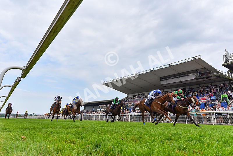 060524-Race 5-Original Thinker-4800 - Race 5