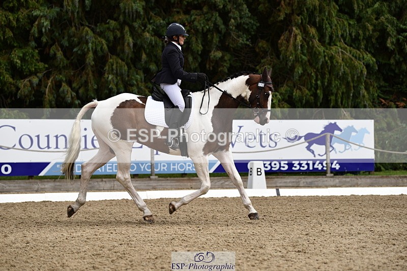 140110A-030720-11170 - 070-Deborah.Randall-Kindred.Spirit