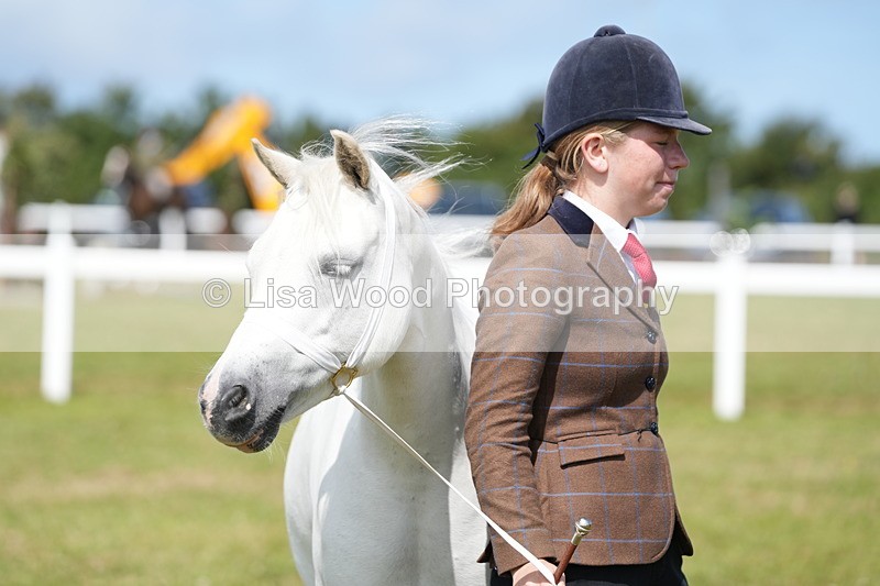 DSC05615 - Class 50: NPS M&M 4 years and over Small Breeds