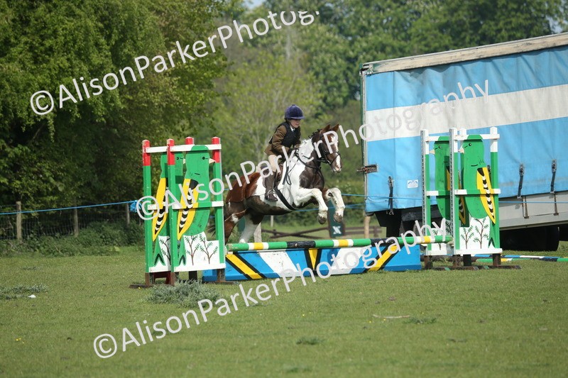 20260426-0234 - Class 13 - Rookie Jumping 50cm