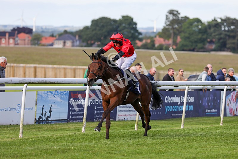 180624-Race 3-Sunny Orange-7866 - Race 3