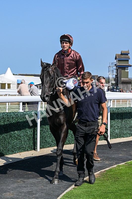 130826-Race 2-Concert Pitch-8398 - Race 2 14.45pm Welcome Racing TV Club Members Nursery Handicap