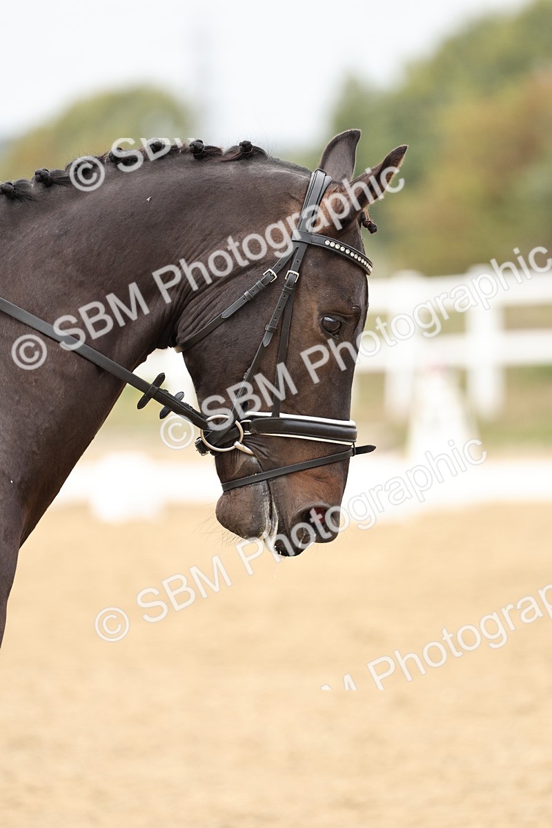 SBM_013270 - Class 3 - Novice 4 - 11.43-12.25
