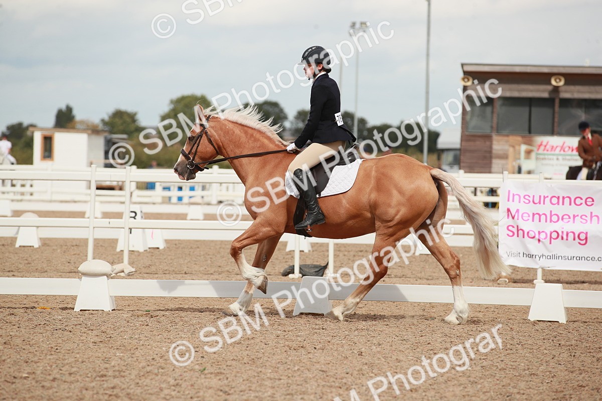 SBM_05898 - Class 32 - Novice 1