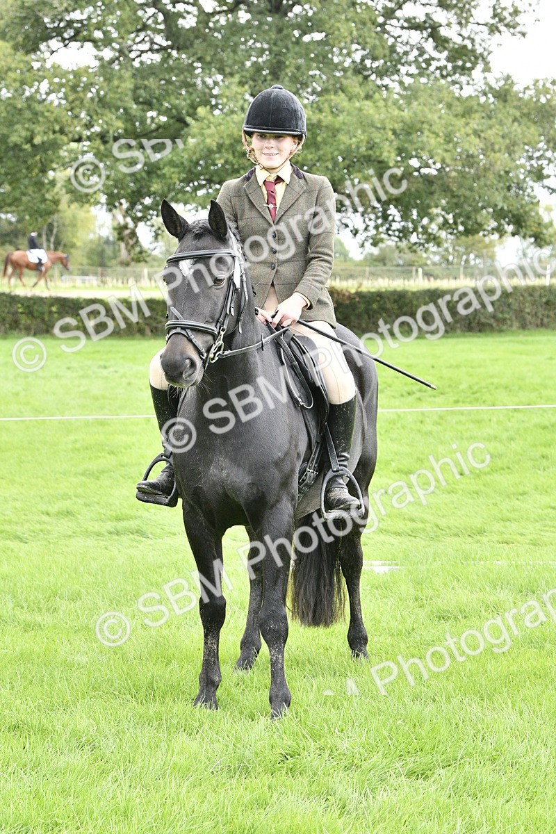 SBM_41609 - S32 - Mountain & Moorland Working Hunter Pony