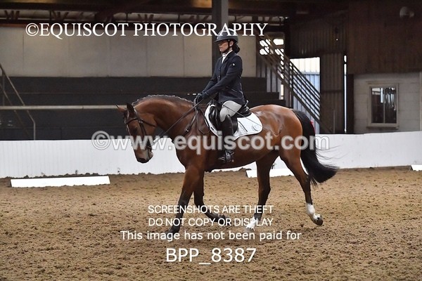 BPP_8387 - PRELIM 4 BD