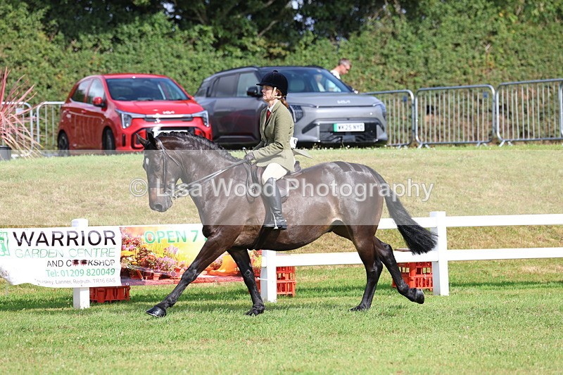 3E7A8891 - Class 3: Rising Star S/L Hunter