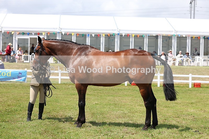 3E7A1687 - Class 9: Open Hunter