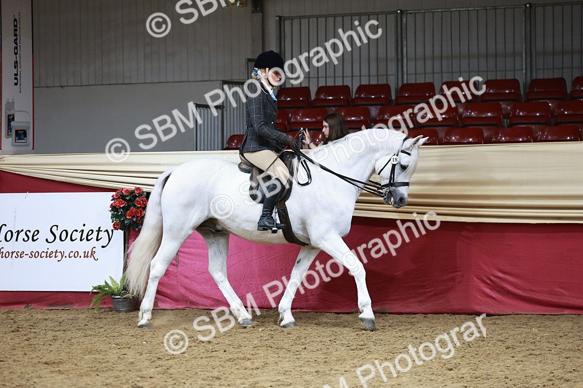 SBM_08746 - Class 12R - Regional Ridden Pre-Vet
