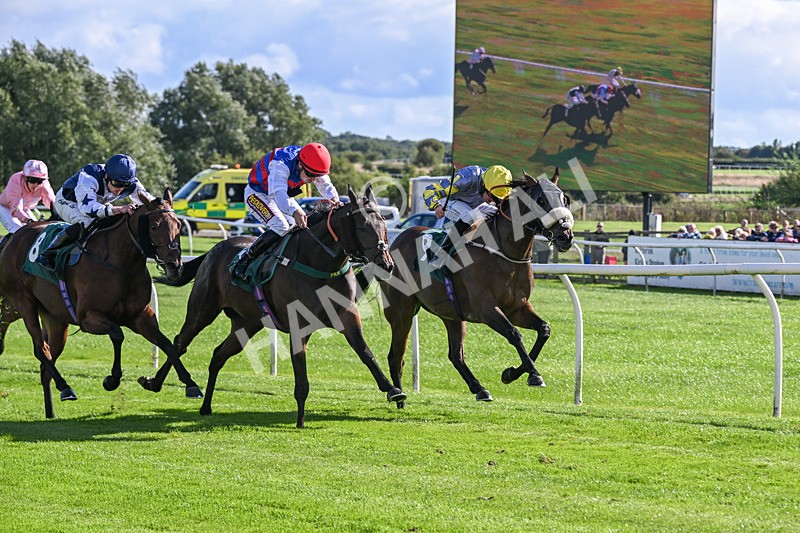 080926-Race 4-Kings Merchant-2511 - Race 4 3.36pm Fifth Regiment Royal Artillery Handicap (Div II)