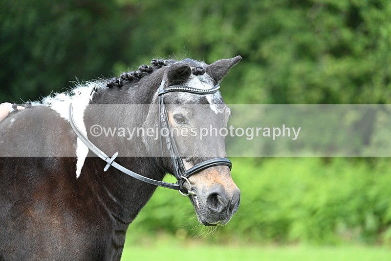 WJ7_1701 - Class 11 Condition & Turnout