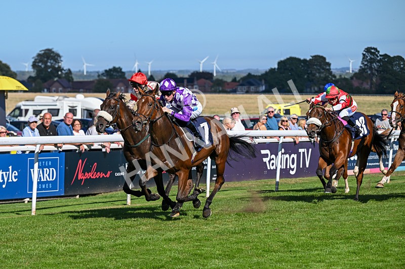 220926-Race 3-Call Me Tomorrow-3619 - Race 3 2.40pm Christmas Parties R Us Restricted Novice Stakes