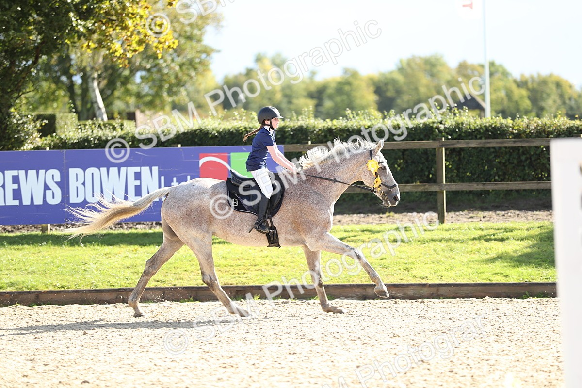 SBM_37392 - J20 - Junior Horse 50cm Championship