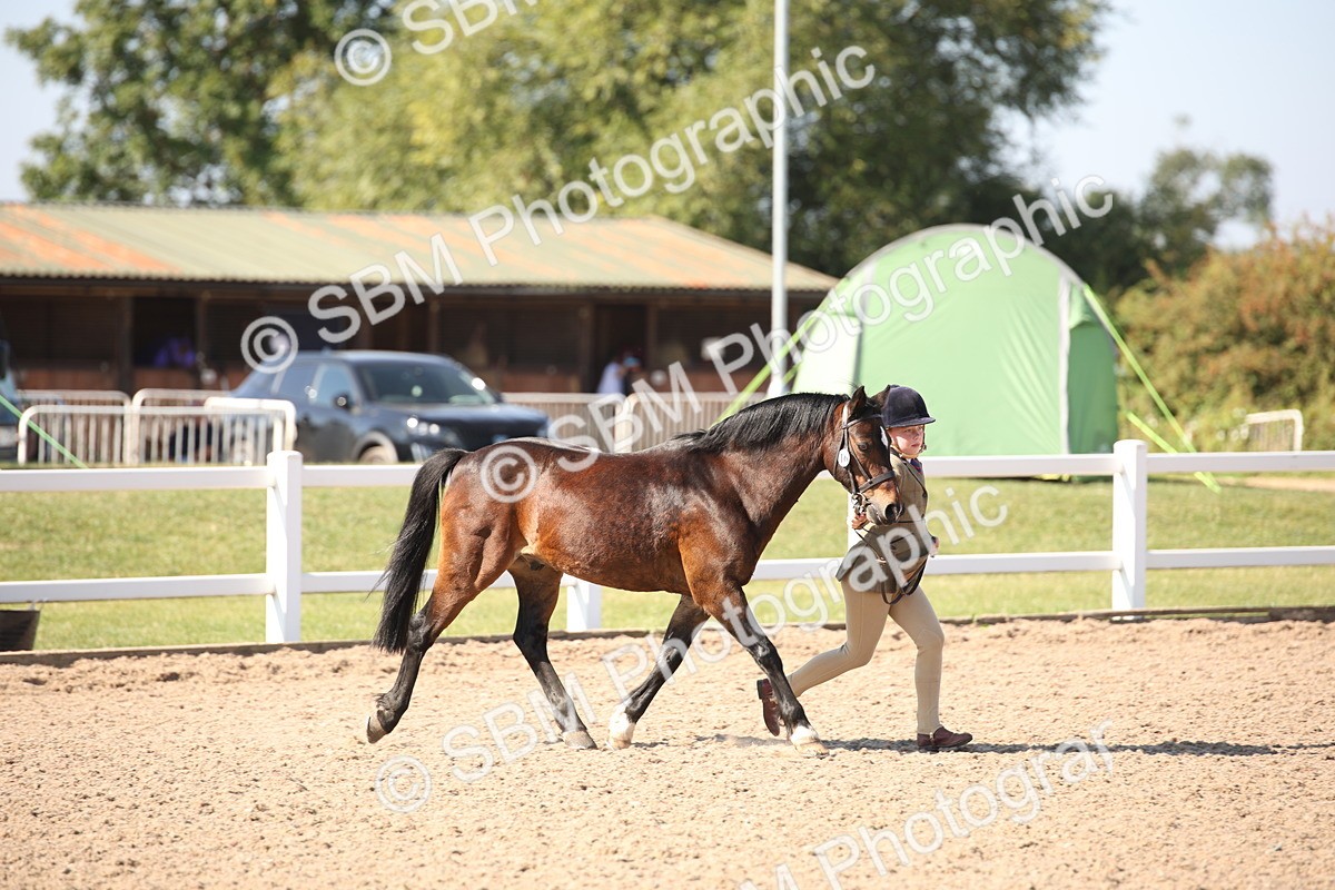 SBM_02673 - Class 16 IH M&M Wildcard