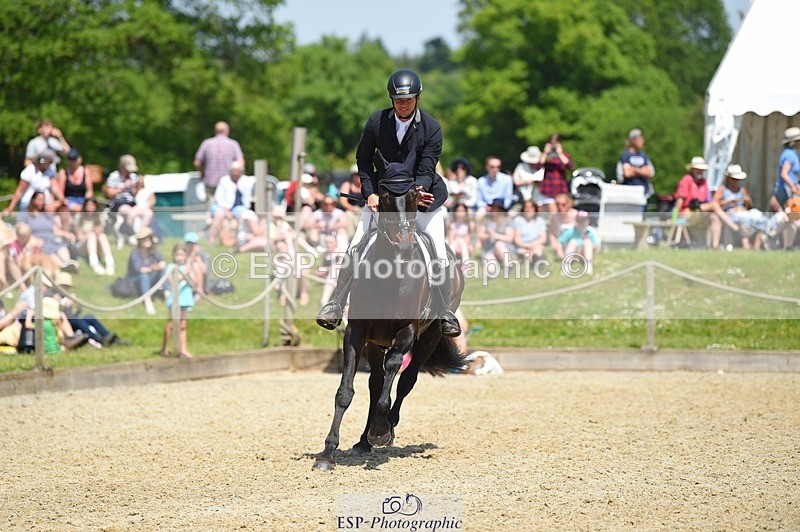 230528-115434-15437 - 363-RLE_KHALEESI_C-Christopher_Wincer-SUNTrotUp+SJ