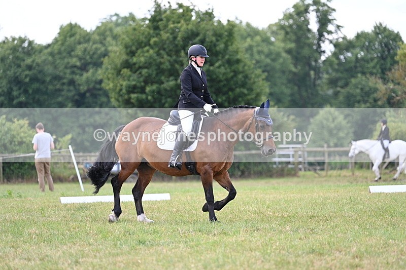 WJ7_5308 - Time 11:22 to 11:51