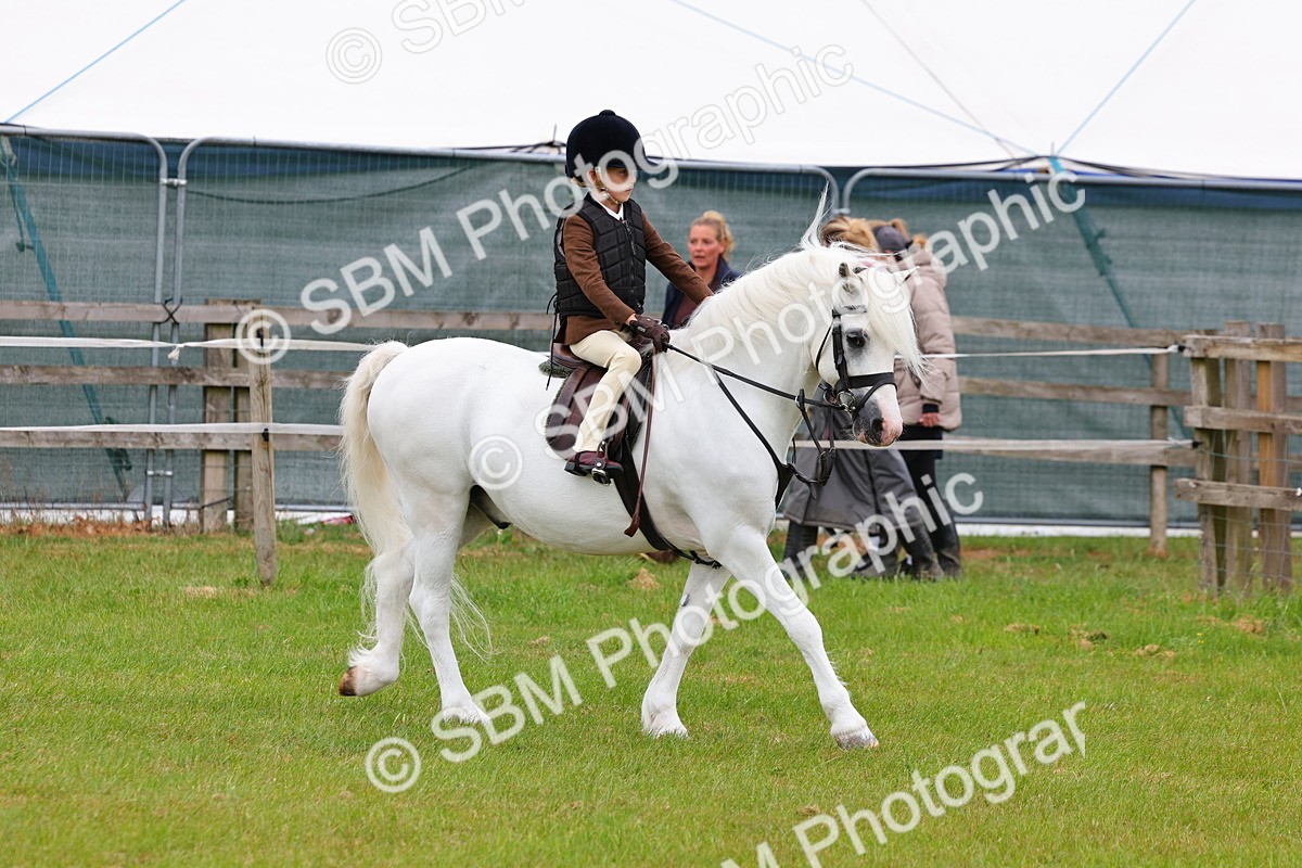 SBM_08418 - Class 42-43 - LIHS BSPS Heritage Working Sports Pony