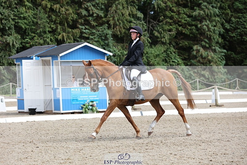 250718A-145324-02310 - 107-Beatrice.Coker-Brown-Portia.the.Fawn