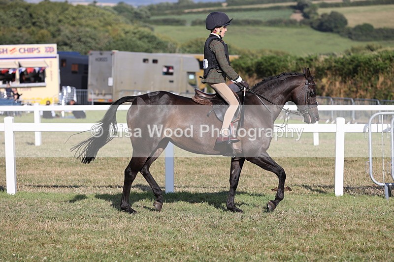 JPP_3276 - Class 21: Working Hunter 80cm