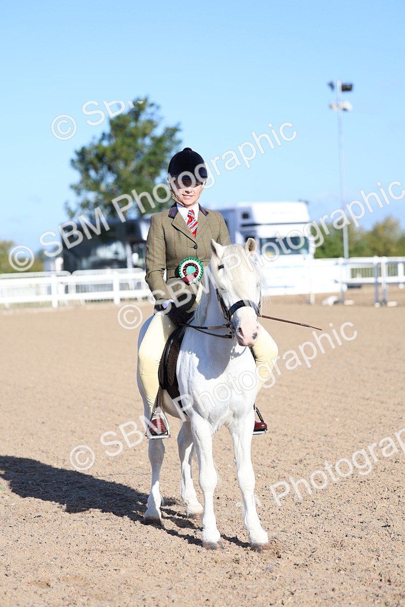 SBM_07867 - Class 301 - Ridden M&M - Small Breeds