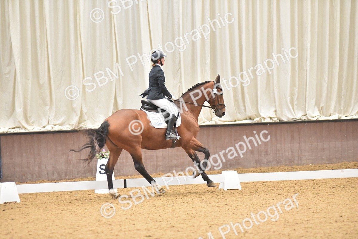 SBM_009633 - Class 11 - Elementary 5