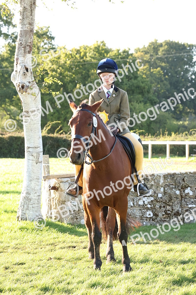 SBM_52681 - S13 - Pony Club Pony