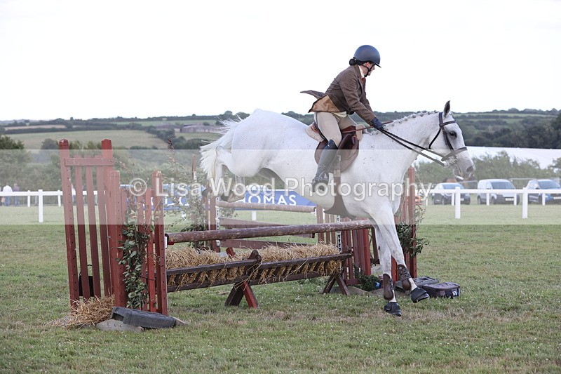 JPP_3644 - Class 24: Open Working Hunter