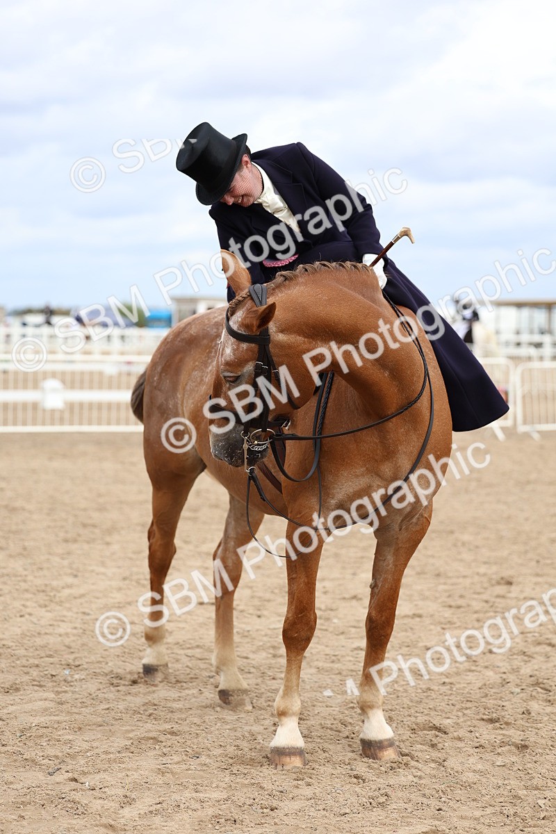 SBM_03481 - Class 24 - SSA Concours d'elegance (any age)