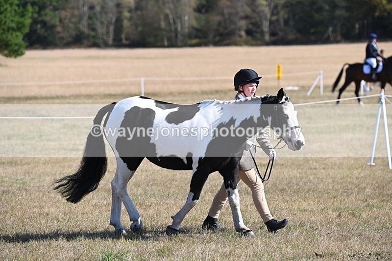 WJ6_7423 - Class 34 Judges Choice