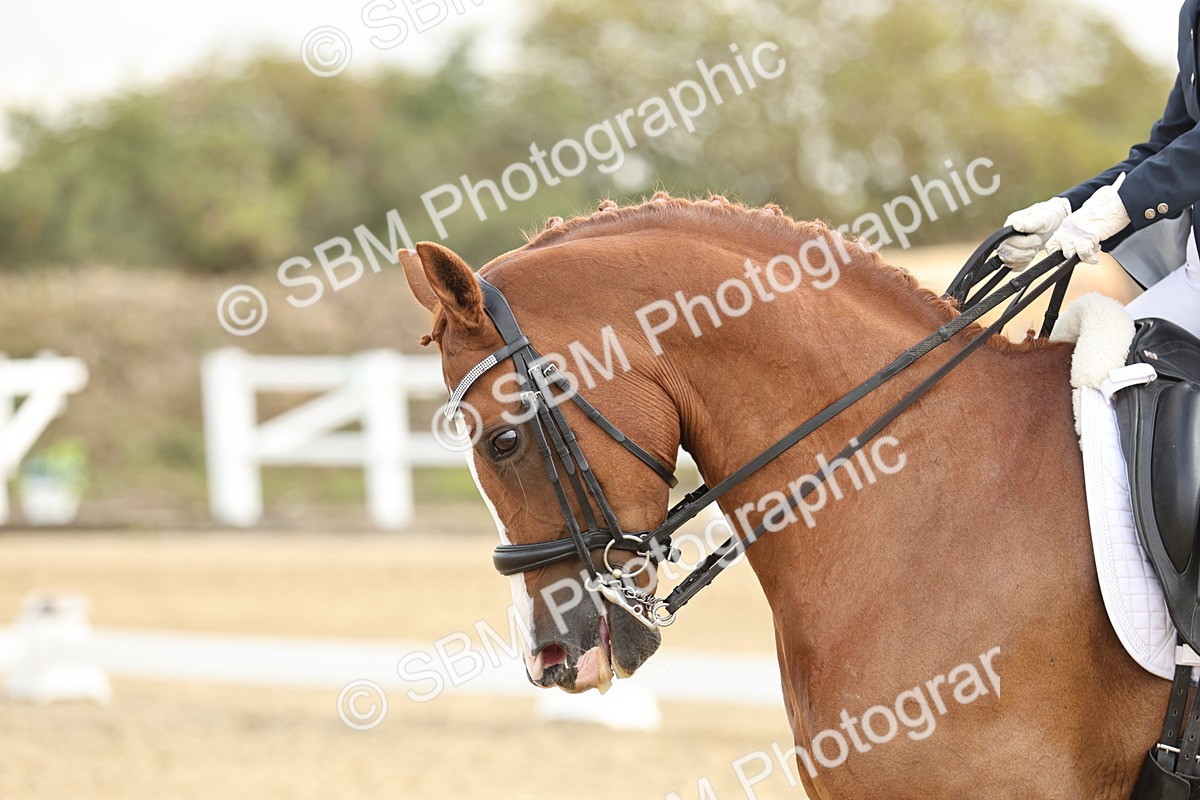 SBM_006863