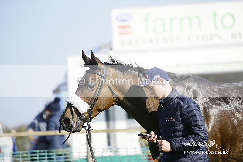 PtP 190322 624 - Wilton Hunt PtP Milborne St Andrew 19/03/22