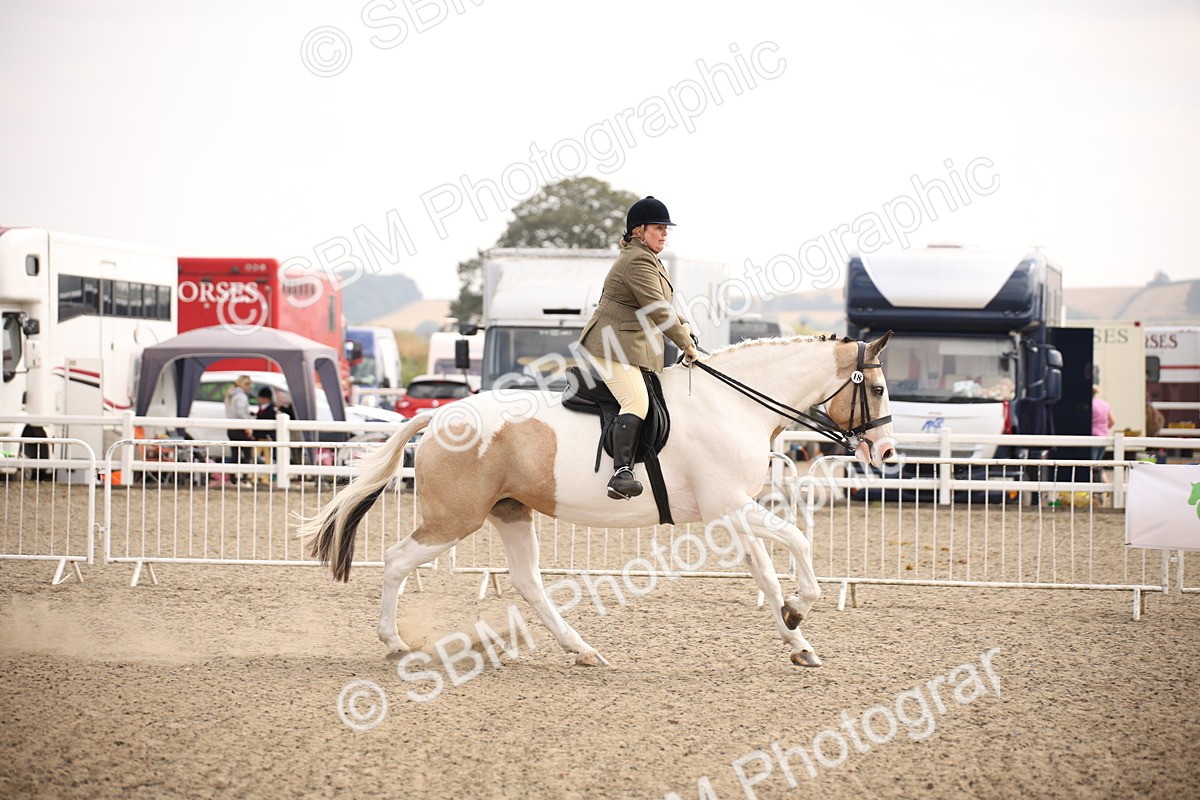 SBM_12917 - Class 406a - Working Veteran 50cm (15-19)