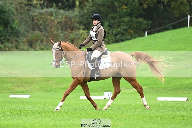 241024-105655-03101 - 502-Alison.Stewart-RICO.III