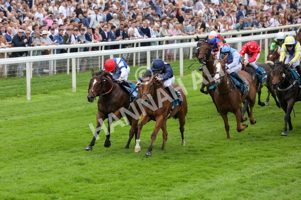 250524-Race 1-Tiriac-2964 - Race 1 1.35pm William Hill Keep Your Raceday Positive Handicap