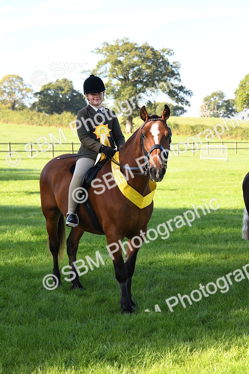 SBM_34099 - S16 - Condition & Turnout - Ridden