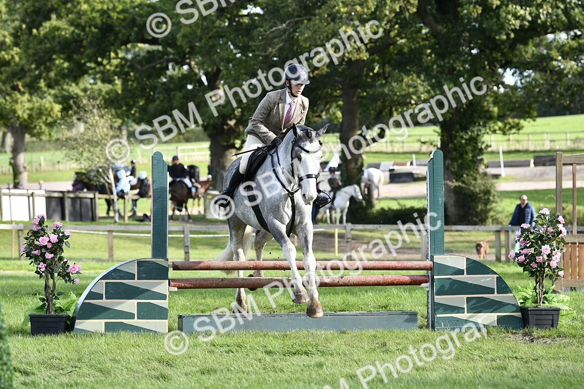 SBM_52205 - S35 - Working Hunter & Working Show Horse