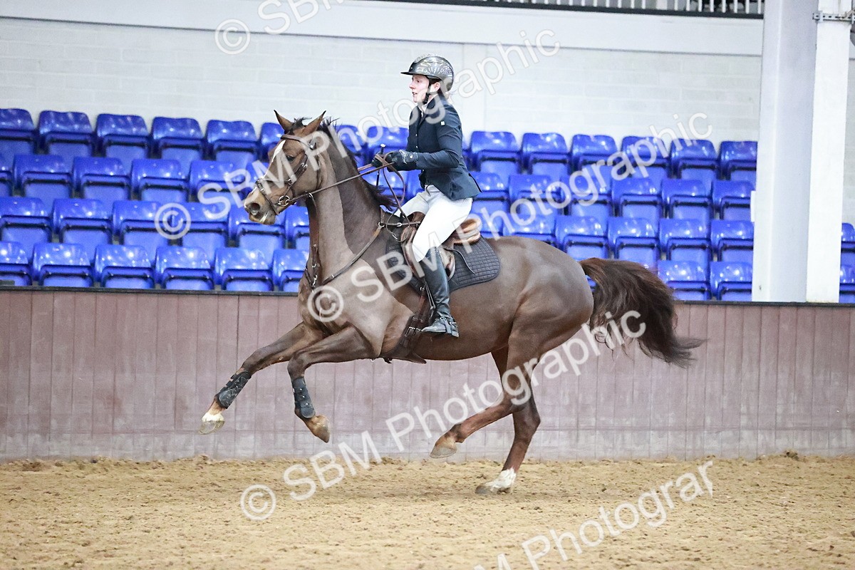 SBM_004503 - Class 15 - Senior British Novice 90cm