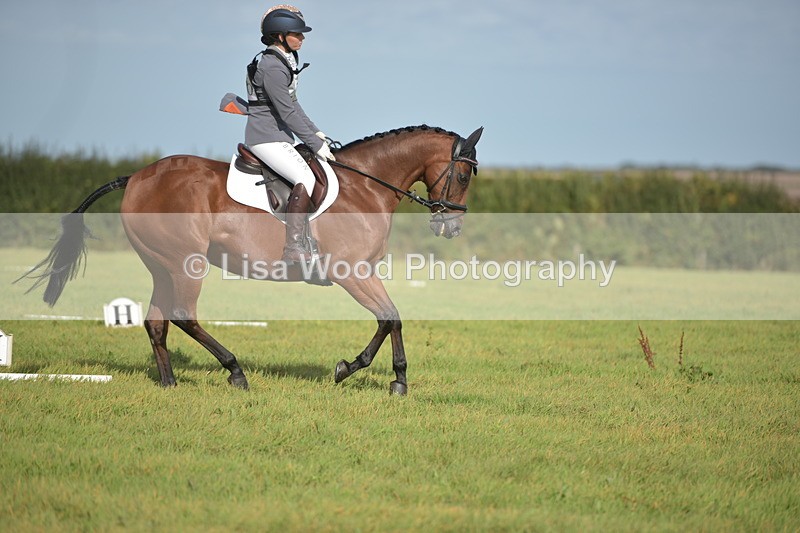 RAY_7594 - Class 2B: Trekenning Open: Dressage