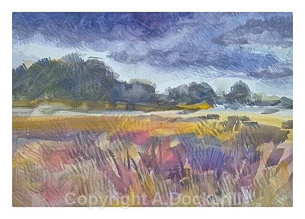 Cambridgeshire Lavender - Watercolours