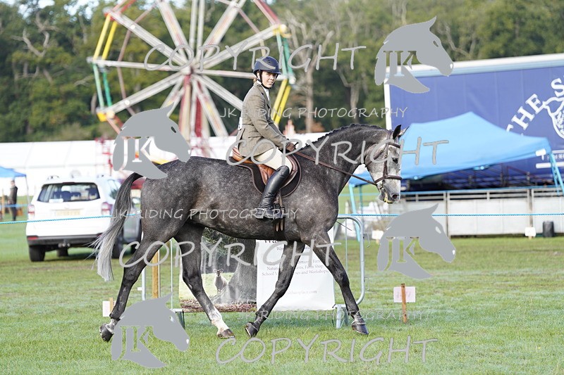 _DSC9320 - Class 8 & 17 Ridden Hunter & Ridden Hunter Pony