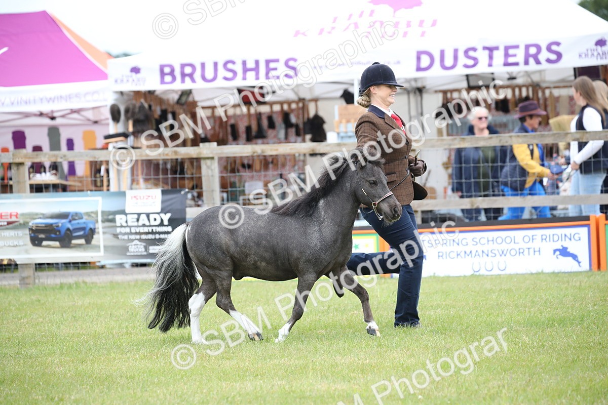 SBM_03923 - Class 23-25 - British Miniature Horse of the Year