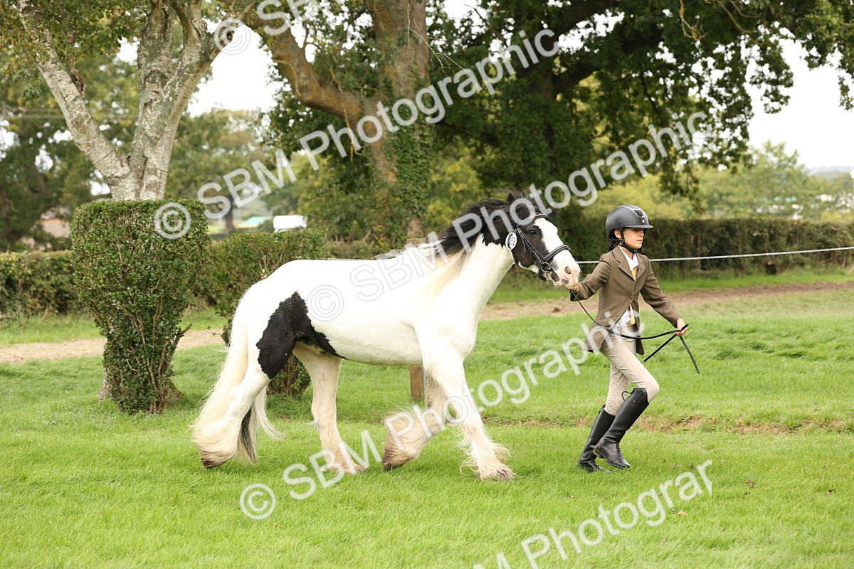 SBM_59266 - S57 - Traditional Cob In Hand
