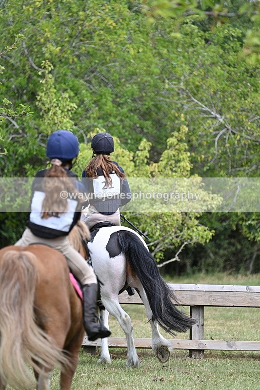 WJ7_5695 - 80cm XC Pairs