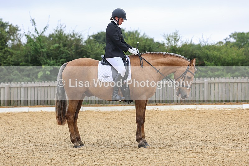 3E7A5078 - Class 2: Intro 4 2024 section B