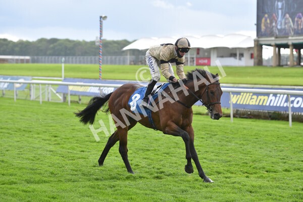 yr22052021r5-20 - Race 5 4.20pm William Hill EBF Novice Stakes (Plus 10 Race)