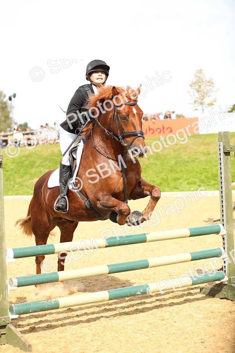 SBM_66221 - J17 - Junior Pony 80cm Championship