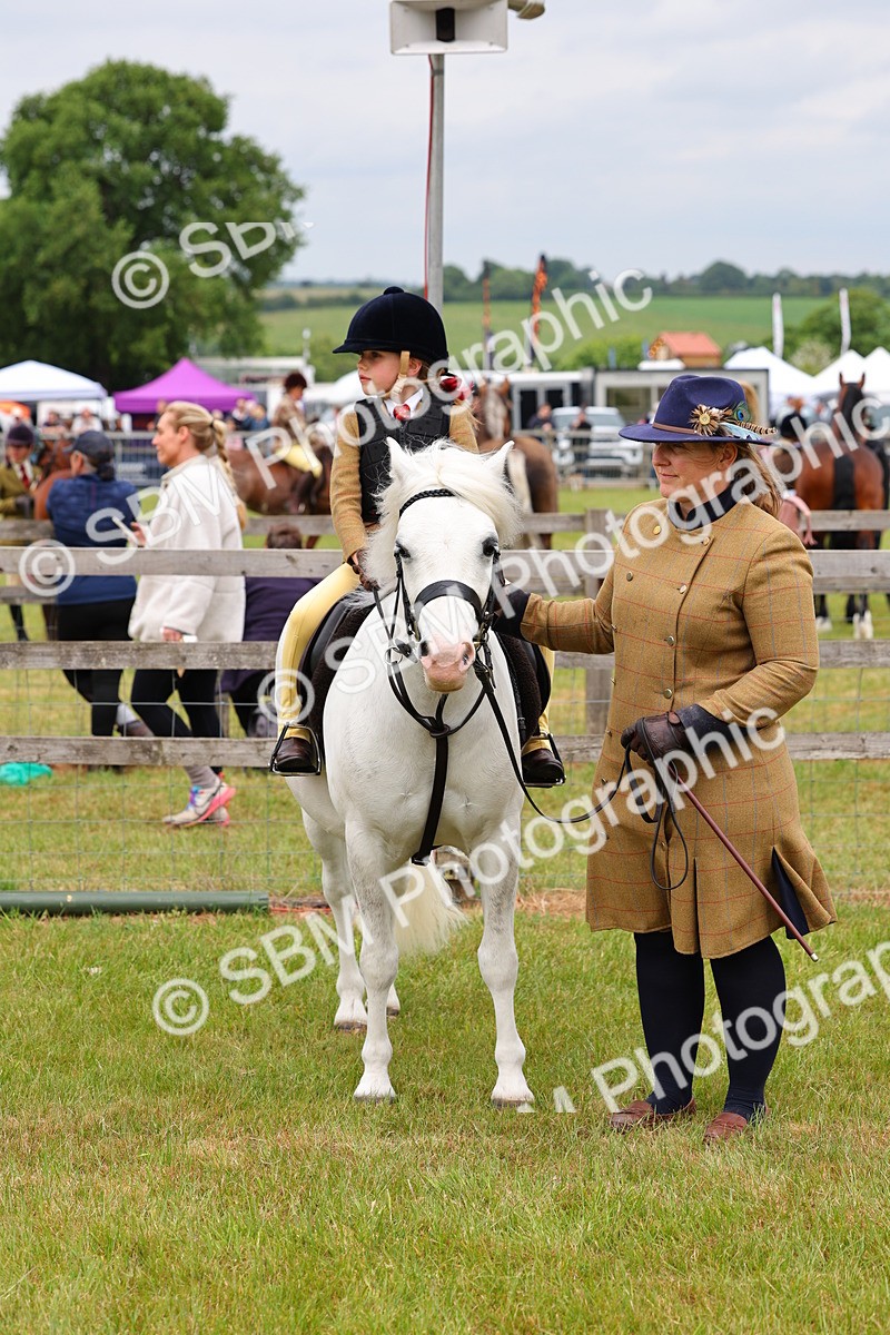 SBM_08334 - Class 42-43 - LIHS BSPS Heritage Working Sports Pony